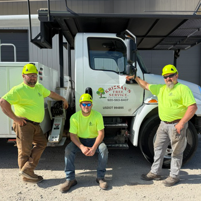 Tree service crew by truck